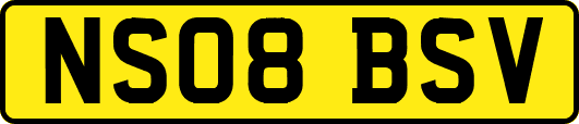 NS08BSV