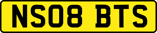 NS08BTS