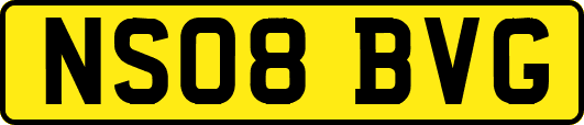 NS08BVG