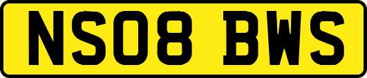 NS08BWS