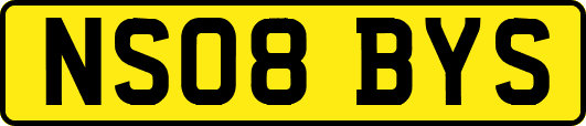 NS08BYS