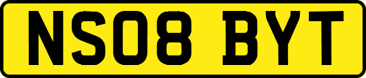 NS08BYT