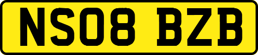 NS08BZB