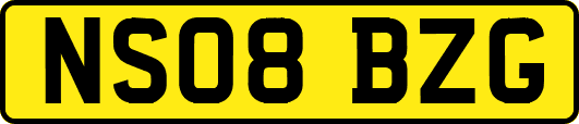 NS08BZG