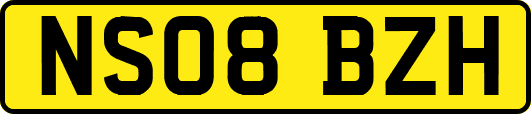 NS08BZH