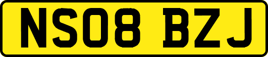 NS08BZJ