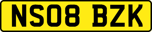 NS08BZK