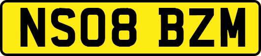 NS08BZM
