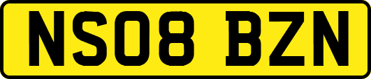 NS08BZN