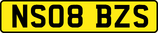 NS08BZS