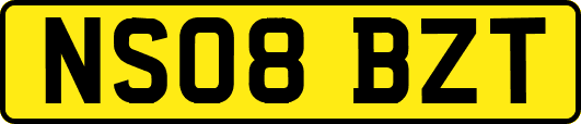 NS08BZT