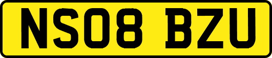 NS08BZU
