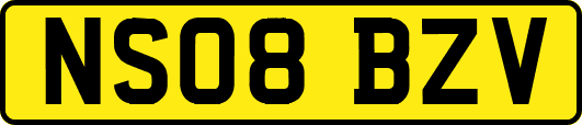NS08BZV