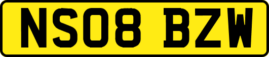 NS08BZW