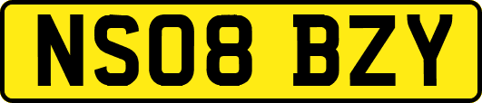 NS08BZY