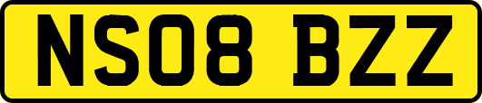 NS08BZZ