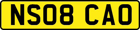NS08CAO
