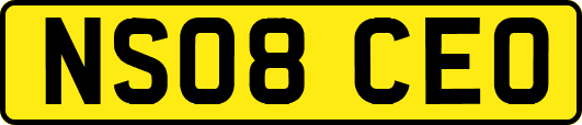 NS08CEO