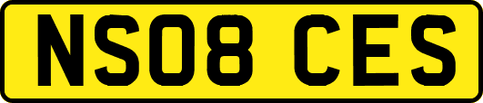NS08CES