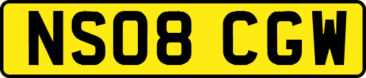 NS08CGW
