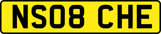 NS08CHE