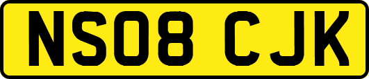 NS08CJK