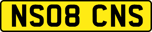 NS08CNS