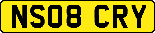 NS08CRY