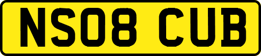 NS08CUB
