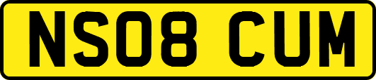 NS08CUM