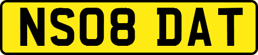 NS08DAT