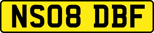 NS08DBF