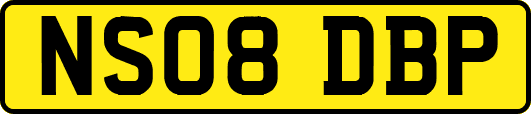 NS08DBP