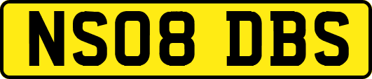 NS08DBS