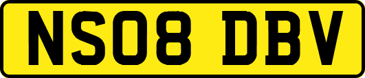 NS08DBV