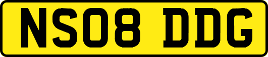 NS08DDG