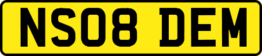 NS08DEM