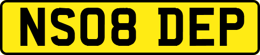 NS08DEP