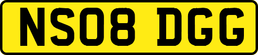 NS08DGG