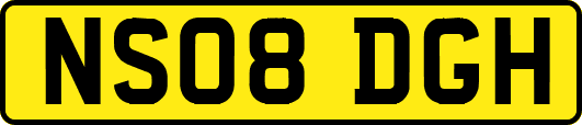 NS08DGH