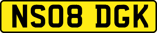 NS08DGK