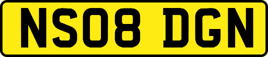 NS08DGN