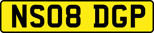 NS08DGP
