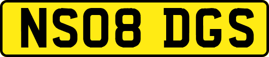 NS08DGS