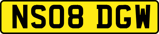 NS08DGW