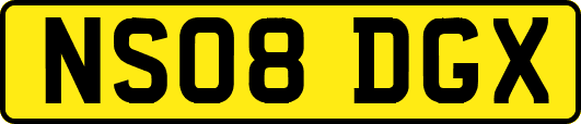 NS08DGX