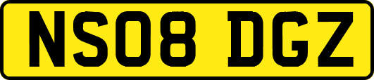 NS08DGZ