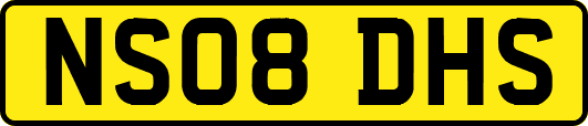 NS08DHS