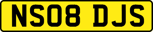 NS08DJS