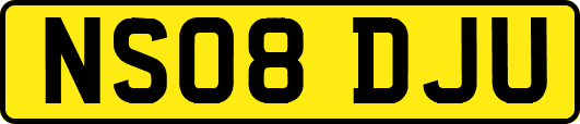 NS08DJU